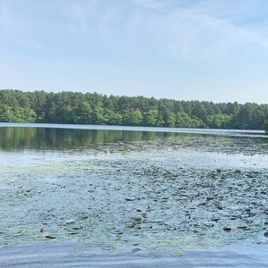 Meet your Posher, Meredith